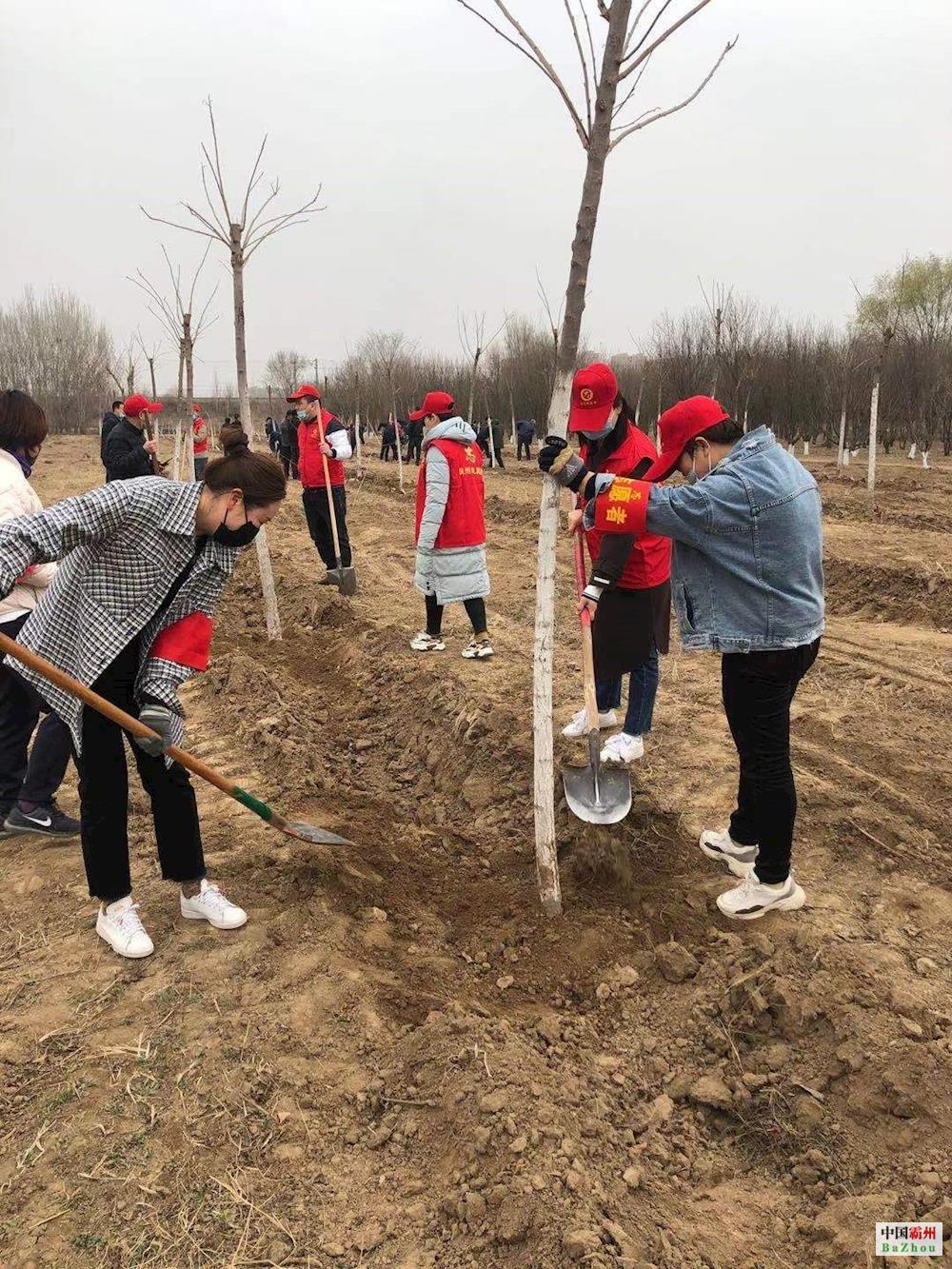 植树造林为家添绿