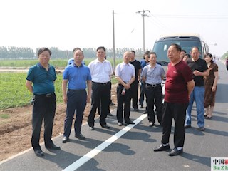 霸州市人大领导视察农村路网改造提升工程