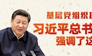 图解：基层党组织建设，习近平总书记强调了这些