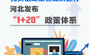 扎实稳定全省经济运行 河北发布“1+20”政策体系