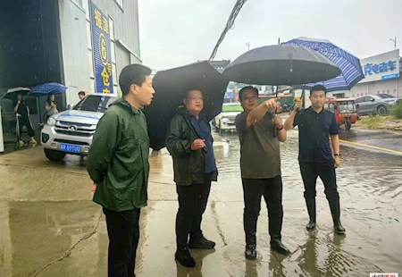 市政府市长张淼到东部乡镇督导检查防汛排涝工作