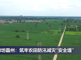 廊坊霸州：筑牢农田防汛减灾“安全堤”