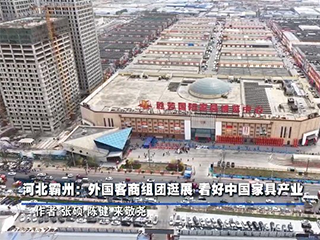 全球连线｜河北霸州：外国客商组团逛展 看好中国家具产业