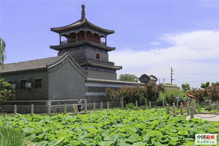 影像记录丨河北霸州胜芳镇建设：湿地公园水清岸绿景美