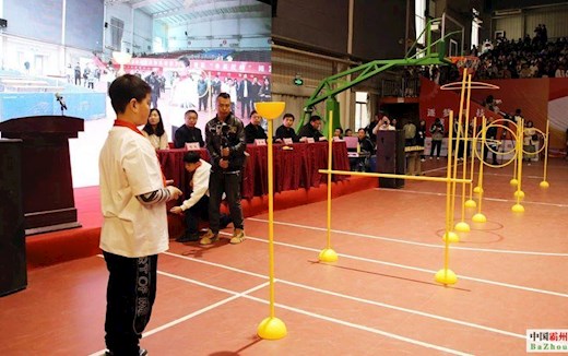 影像记录丨河北霸州：首届教育科技创新大赛暨“小盖茨杯”机器人赛成功举办